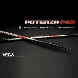 Caña Vega Potenza F40