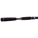 Caña Daiwa Legalis Seabass